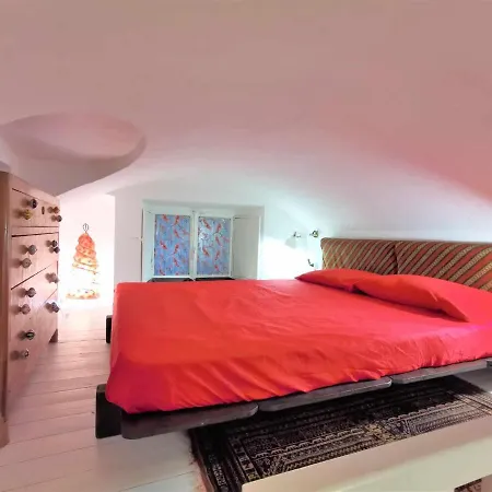 Jungle Fever Apartment