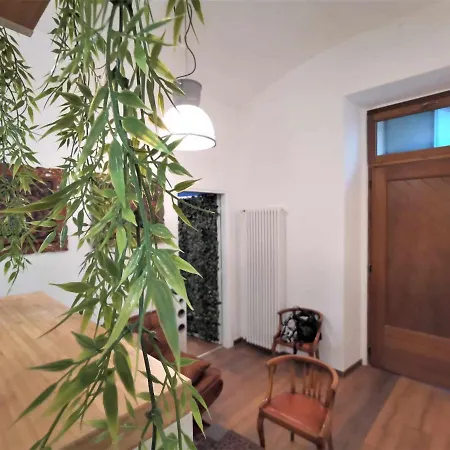 Jungle Fever 아파트