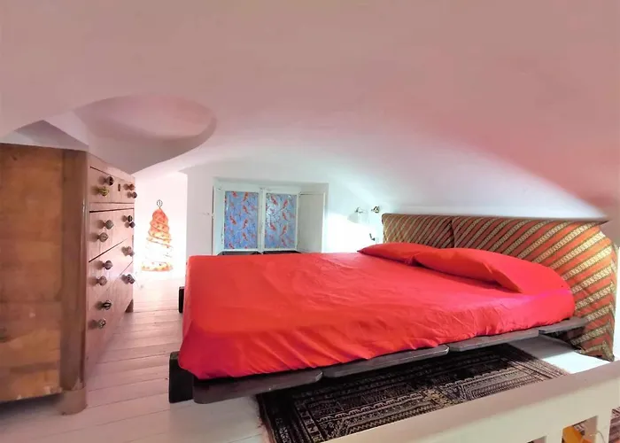 Jungle Fever Apartament