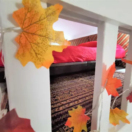 Jungle Fever * تورينو