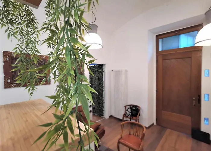 Jungle Fever Апартаменты